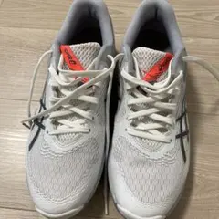 Item thumbnail for item 1549af94-0f14-4743-9025-f33a2331df6f