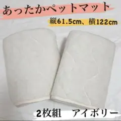 Item thumbnail for item 5d21735f-1164-4473-a080-9a267e098998