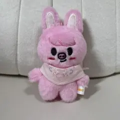 2026年最新】straykids チャンビン ぬいぐるみの人気アイテム - メルカリ