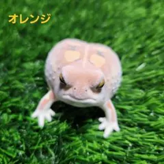 Item thumbnail for item 63db12d1-182b-4b2e-af9d-465b8927c005