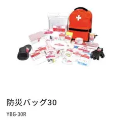 防災バッグ 30 山善 YBG-30R