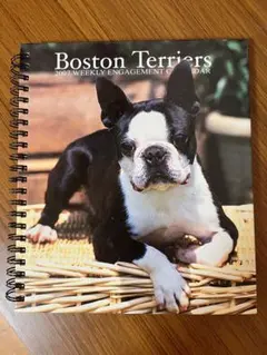 Item thumbnail for item a0c1dfba-ae9a-4b27-b1c0-f40b3f3ee019