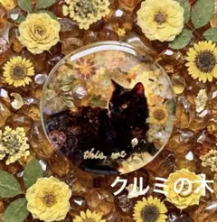 新作☆レジンヘアゴム 黒猫❤︎夜食は星空の下で - メルカリ