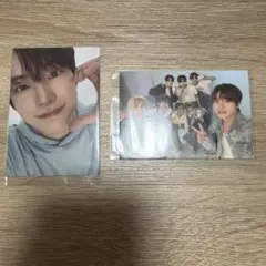 ald1 BRINGGREEN トレカ ゴヌ