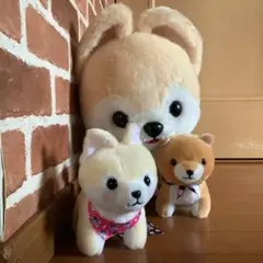 豆柴3兄弟♡ぬいぐるみ
