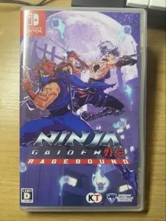 NINJA GAIDEN PINES RAGEBOUND ソフト　Switch
