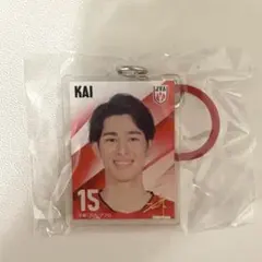 バレーボール男子日本代表 めじるしチャーム 甲斐優斗