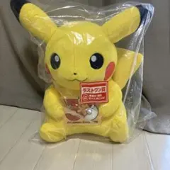 s*k様 ポケモン 一番くじ 30周年 ラストワン賞 ピカチュウ E賞 キモリ