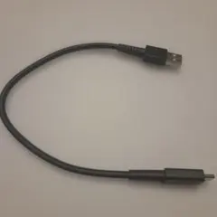 Nintendo 純正 USB充電ケーブル Type-C