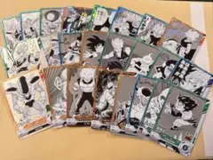 ダイバーズ　アドバンスパック 40th N R フルコンプセット 合計24枚