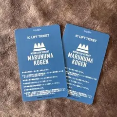 丸沼高原スキー場リフト券1日券　2枚 丸沼高原スキー場 リフト1日券 2025-2026 - メルカリ