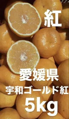 愛媛県産　河内晩柑　宇和ゴールド紅　嵐ゴールド　柑橘　10kg 訳あり 愛媛県産 宇和ゴールド 河内晩柑 柑橘 10kg - メルカリ