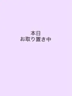 ANNA SUI mini アナスイミニ　フォーマル