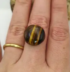 タイガーアイ – 大地と太陽の狭間で