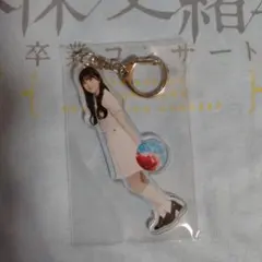 오가와 아야 인디비주얼 아크릴 키홀더 노기자카46