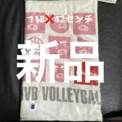 VolleyBoa バレーボール2006タオル新品