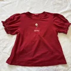 PINK HOUSE ひなぎく半袖Tシャツ2023夏のサムネイル
