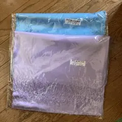 Item thumbnail for item 98f5ed8f-98d6-49d0-99fe-62433f4240e1