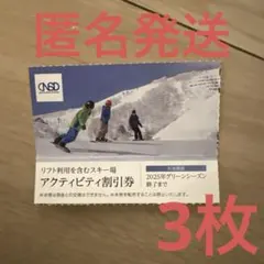 【3枚セット】日本駐車場開発　株主優待券　匿名発送