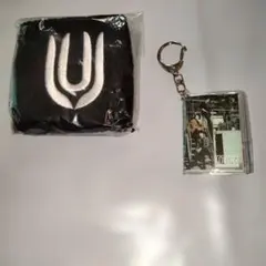 2026年最新】unison square garden キーホルダーの人気アイテム - メルカリ