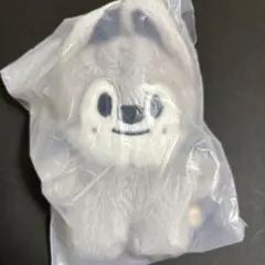 2025年最新】skzoo バンチャンの人気アイテム - メルカリ