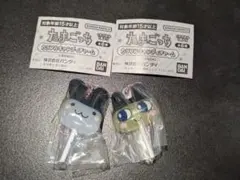 たまごっち　カラフルキャンディチャーム　まめっち　みみっち　キーホルダー　③