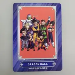 ドラゴンボーイX ppカード パチモノ DRAGON BOY 2枚セット - メルカリ