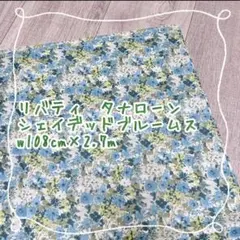 Item thumbnail for item 60ddaff8-74fa-4ca8-9337-d609329b3545