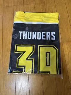 群馬クレインサンダーズ　ホッケーシャツ