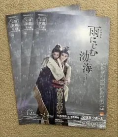 宝塚歌劇　チラシ　月組　礼華はる　雨にじむ潮海　宝塚バウホール