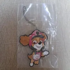 PAW PATROL スカイ カプセルトイ