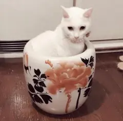 昭和レトロ アンティーク雑貨