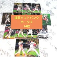 カルビー プロ野球チップス 福岡ソフトバンクホークス カード 14枚