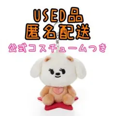 PPULBATU バムグッ スイカ ぬいぐるみキーリング 公式 - メルカリ