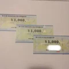 ビックカメラ優待券