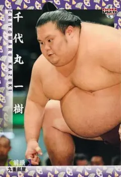 Item thumbnail for item 7e04680b-0d2b-4ef7-a6f9-db10c891c56c