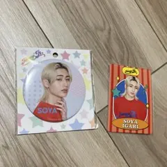 猪狩蒼弥 缶バッジ プロフィールカード