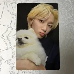 BOYNEXTDOOR ソンホ HOME weverse 特典 トレカ - メルカリ