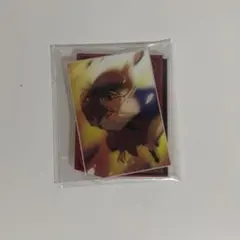 名探偵コナン 江戸川コナン 灰原哀 セガラッキーくじ H賞 アクリルスタンド