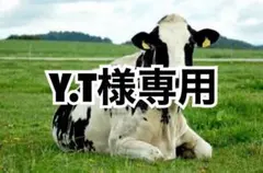 ネイビー5、タン薄5