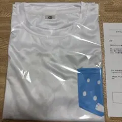 今だけセール！ポケモン30周年×BOSS この足跡だ〜れ？Tシャツ　イッシュ地方