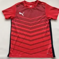 PUMA 半袖 Tシャツ　トップス　ウェア　速乾　サッカー　フットサル