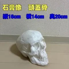 レア！！マイケルジャクソン石膏 顔型 - メルカリ