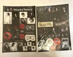 2025年最新】Acid Black cherry ステッカーの人気アイテム