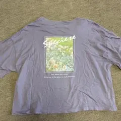 WEGO ロゴ刺繍 バックプリント 半袖Tシャツ パープル