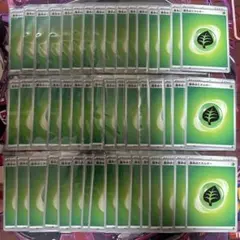 基本草エネルギー 48枚セット