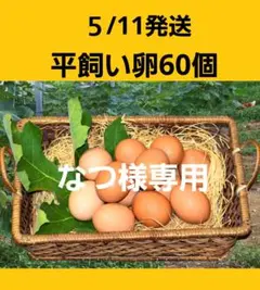 平飼い卵60個５/11常温発送なつ様専用