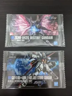 ガンプラ パッケージ アートコレクション デスティニー・エールストライク