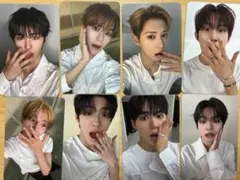 全員セット ALD1 ミュージックプラント ヨントン限定 トレカ