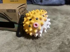 スキューバダイビング